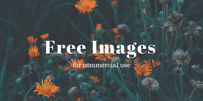 Using Alamy Stock Photos for Free in Commercial and Personal Projects