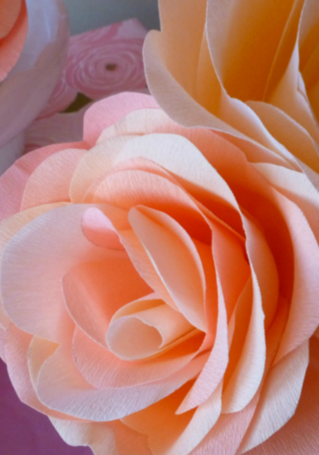 How to Make Beautiful Rose Flowers with Crepe Paper