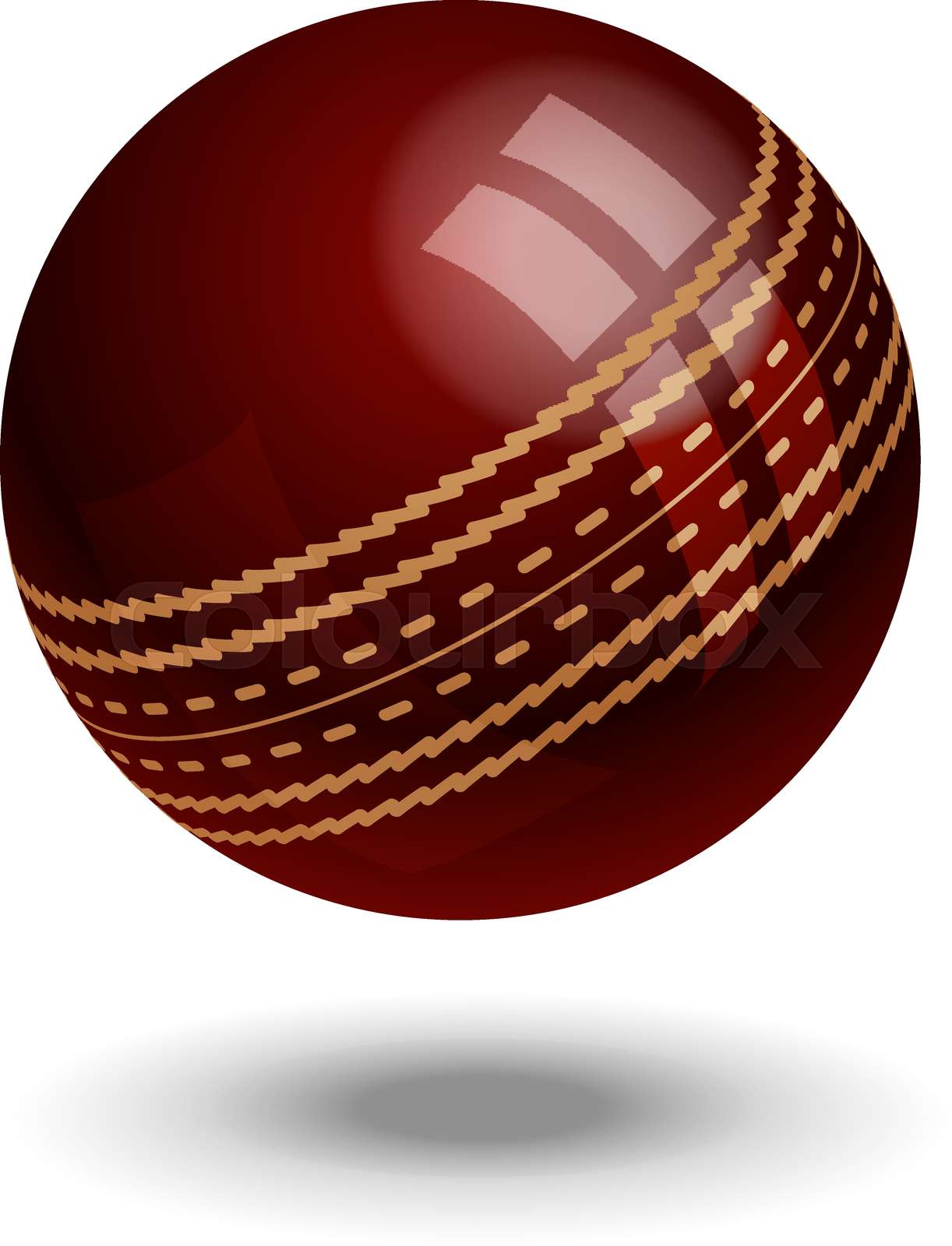 Master the Art of Swinging a Cricket Ball with Dailymotion Guides