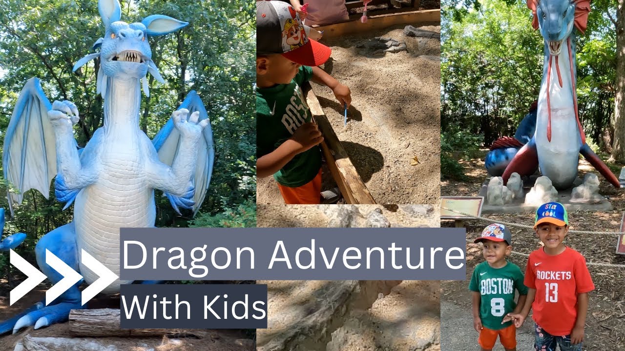 Kickstart Your Adventure at Dragon Academy on Dailymotion