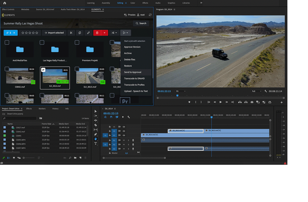 ELEMENTS in Premiere Pro Environments  ELEMENTS Media Storage