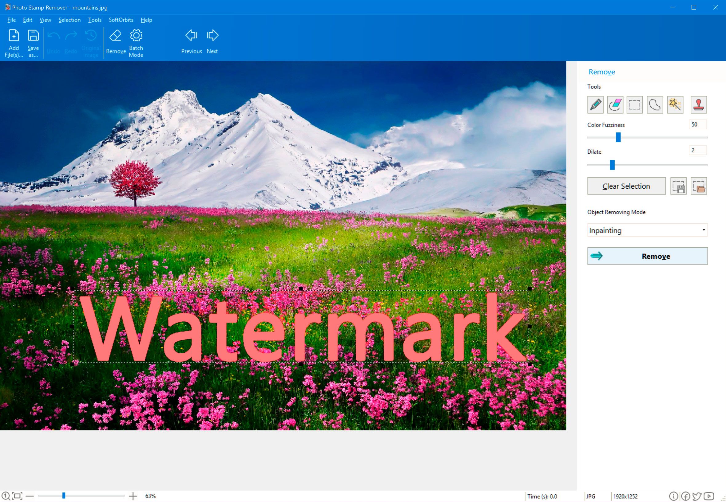 Effective Methods to Remove Adobe Stock Watermark from Images