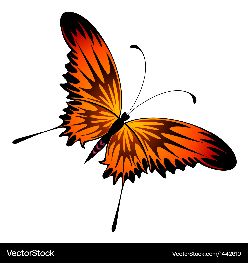 Discover Stunning and Unique Vectors on VectorStock