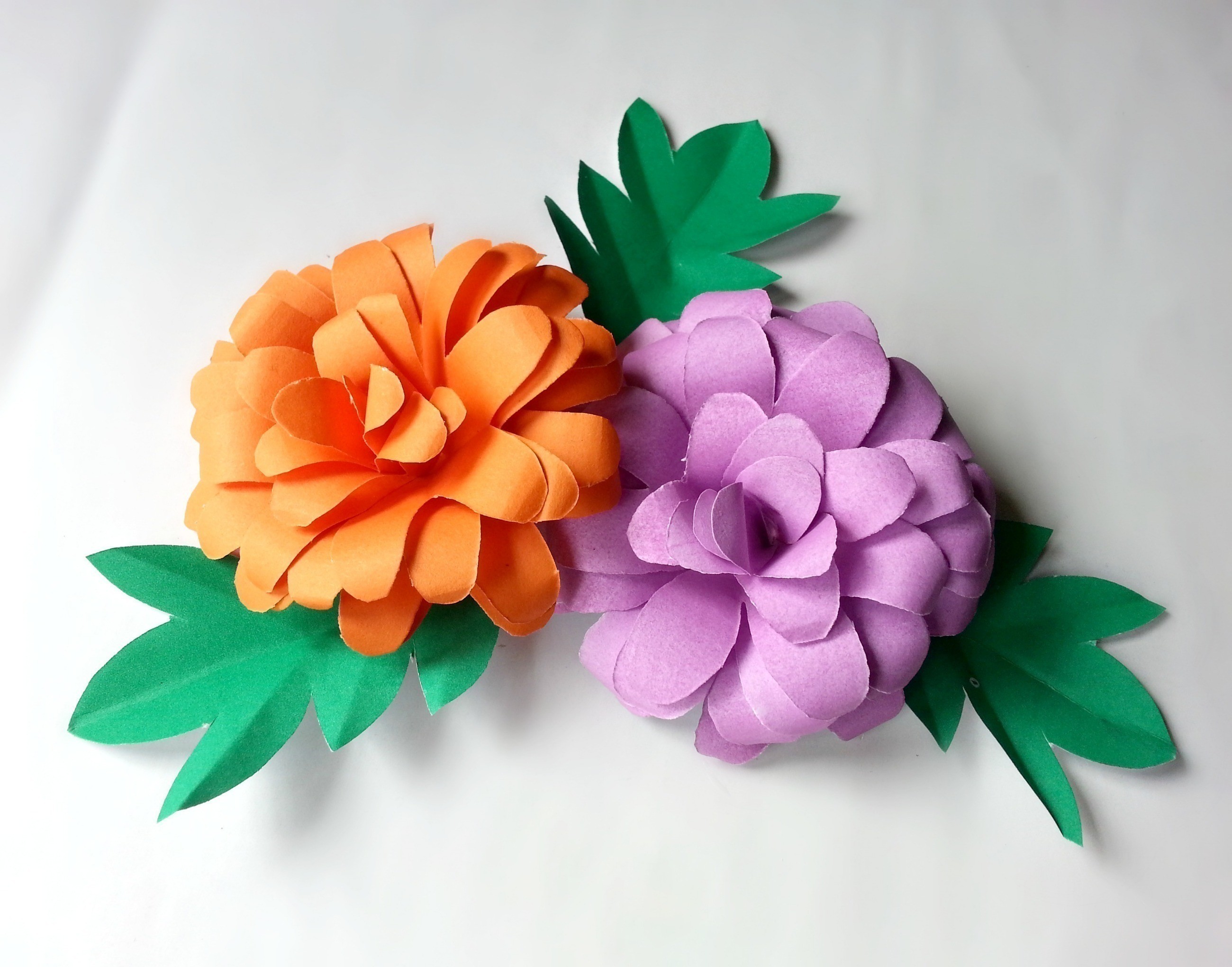 DIY Paper Flower  How To Make A Flowers  Rosettes  Papercraft on Cut 