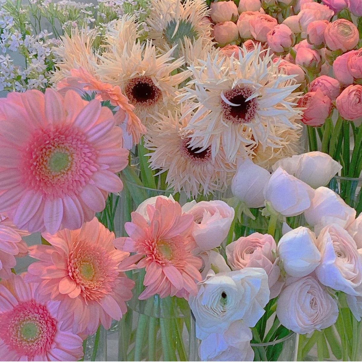 Flower aesthetic Pretty flowers Types of flowers