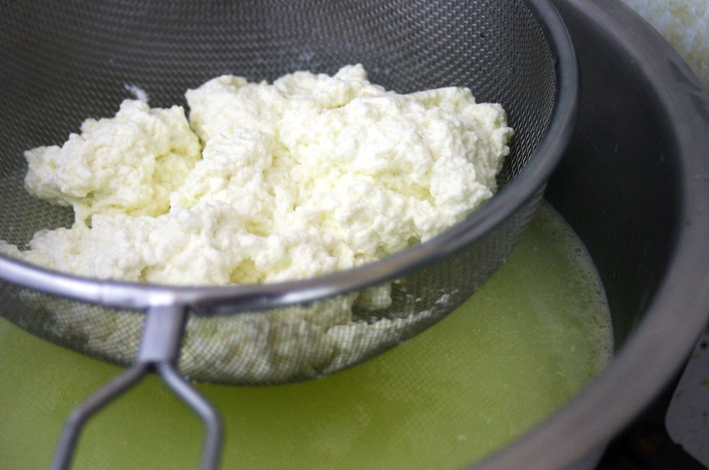 How to Make Cheese at Home with a Step-by-Step Guide