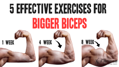 Effective Workout Guide to Build Biceps at Home