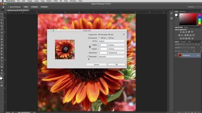 Understanding the Size of Adobe Stock Images