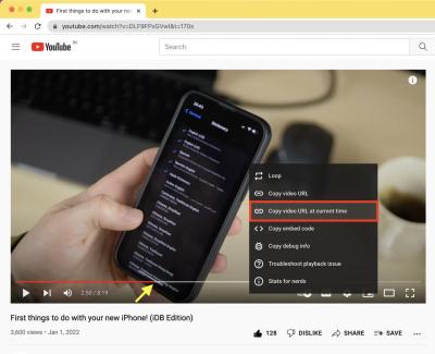 Linking YouTube Videos with Specific Timestamps for Enhanced Sharing