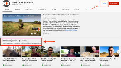 Accessing Members-Only Videos on YouTube Without a Membership