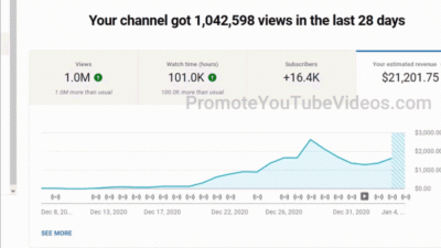 Revenue Generation from 100,000 YouTube Views