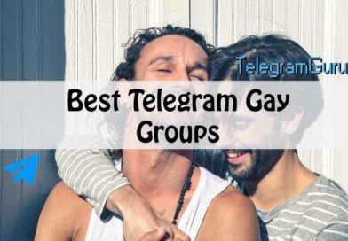 Finding Gay Groups on Telegram for Social Networking