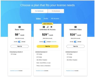 Exploring the Profit Potential of Storyblocks for Creators