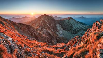 Guide to Purchasing Adobe Stock Photos