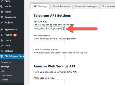 Finding the API Key for Your Telegram Bots