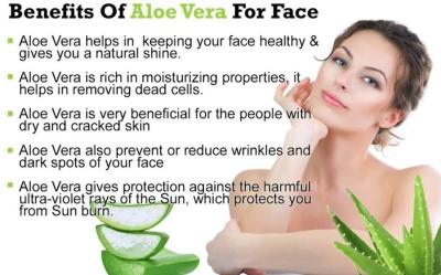 How to Apply Aloe Vera on Skin for Healthy Skin