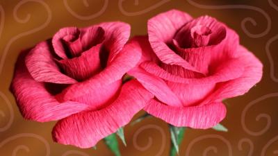 How to Make Beautiful Rose Flowers with Crepe Paper