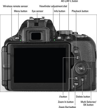 How to Use the Nikon D5200 for Beginner Photographers