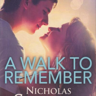 The Heartwarming Story of A Walk to Remember and Its Enduring Popularity on Dailymotion