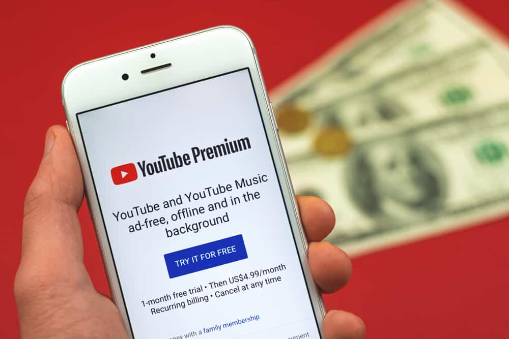 Why Is YouTube Premium So Expensive Top 10 Reasons