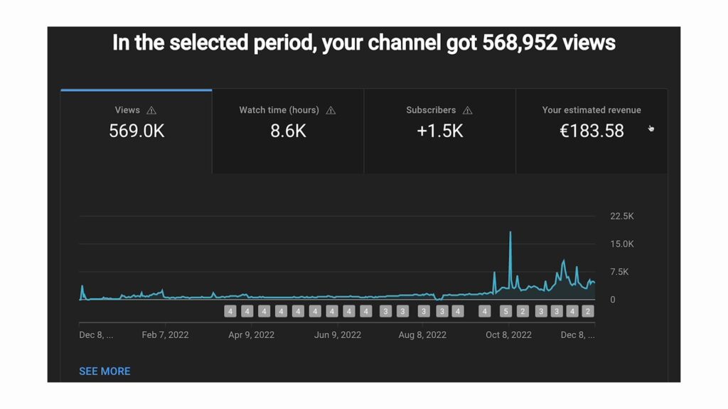 How Much Money I Made After 1 Year on YouTube  Earning Report