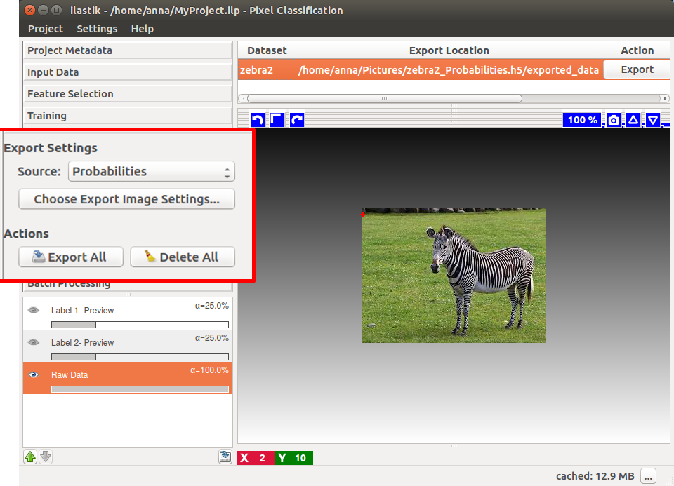 ilastik  Exporting Output