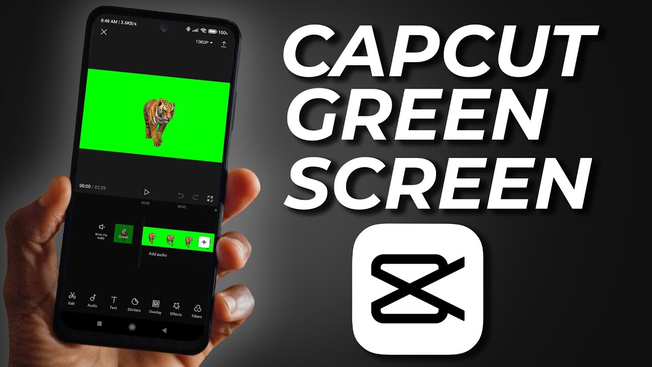 How To Use A Green Screen With CapCut Updated  YouTube