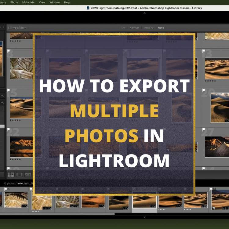 How To Select  Export Photos From Lightroom Step By Step