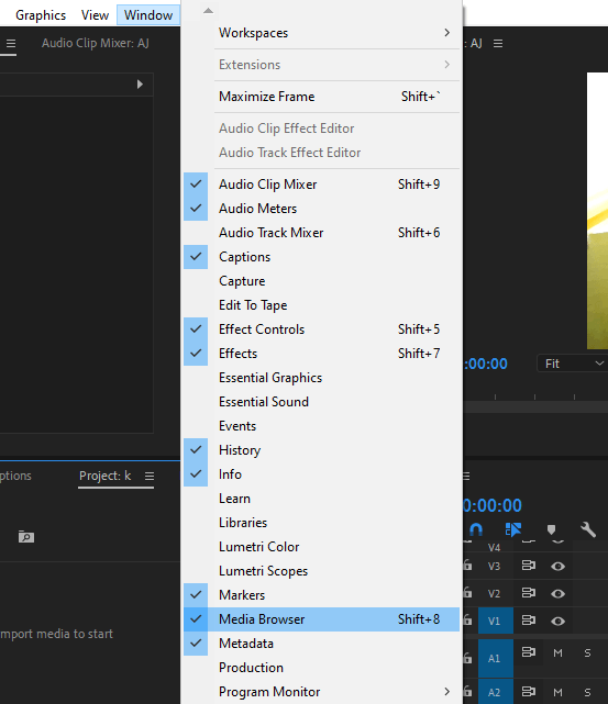 Import Adobe Stock into Premiere Pro Easily