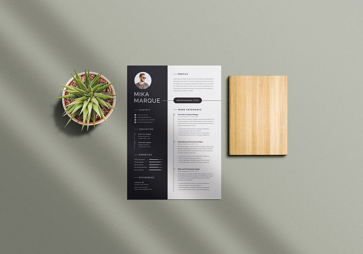 How to Download Your Resume from Behance