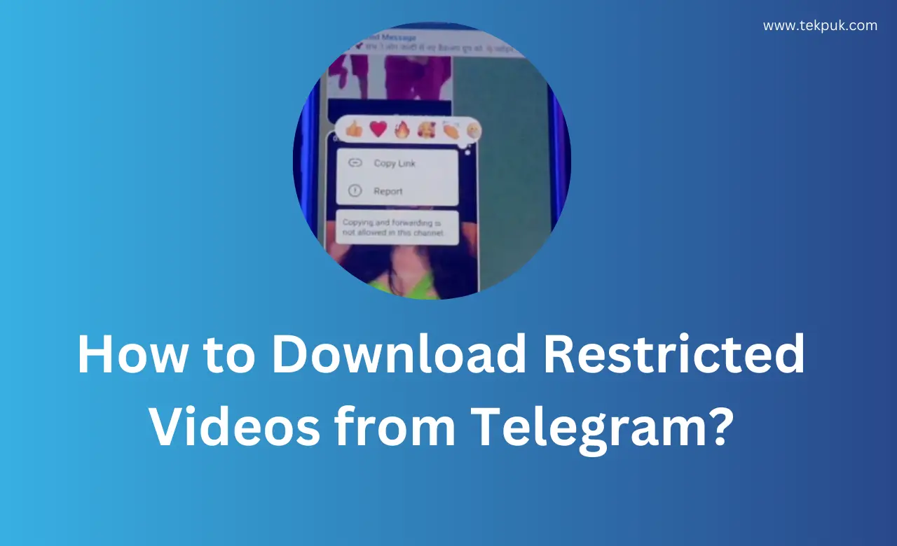 How to Download Restricted Videos from Telegram Exploring 3 Effective 