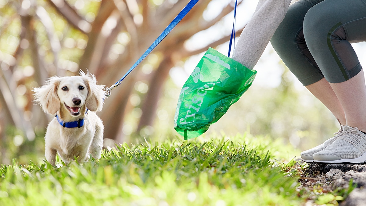 Dog Poop Disposal Tips for Properly Cleaning Up After Your Dog  BeChewy