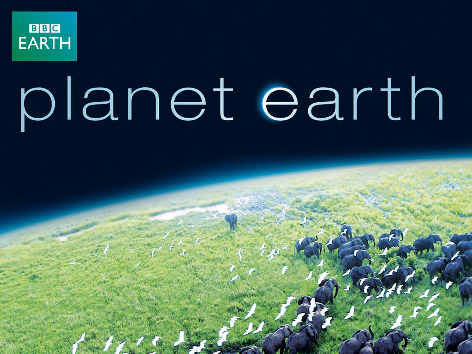 Prime Video Planet Earth Season 1 Narrator  David Attenborough