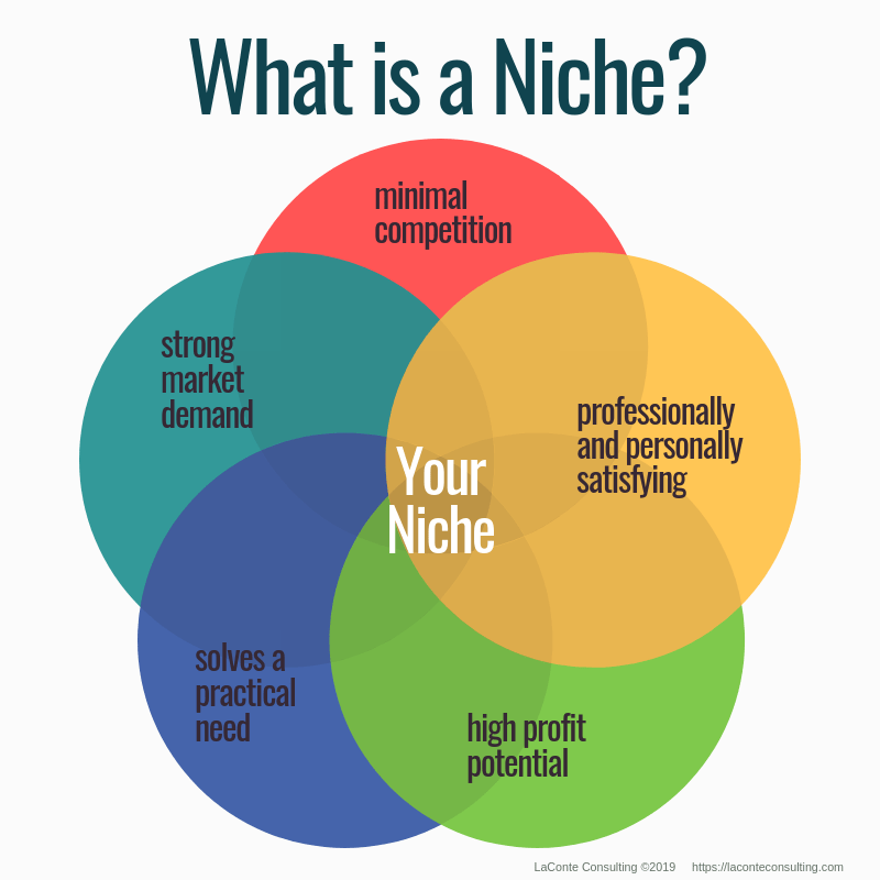 The 5 Elements of a Niche  LaConte Consulting  Resilient Profit 