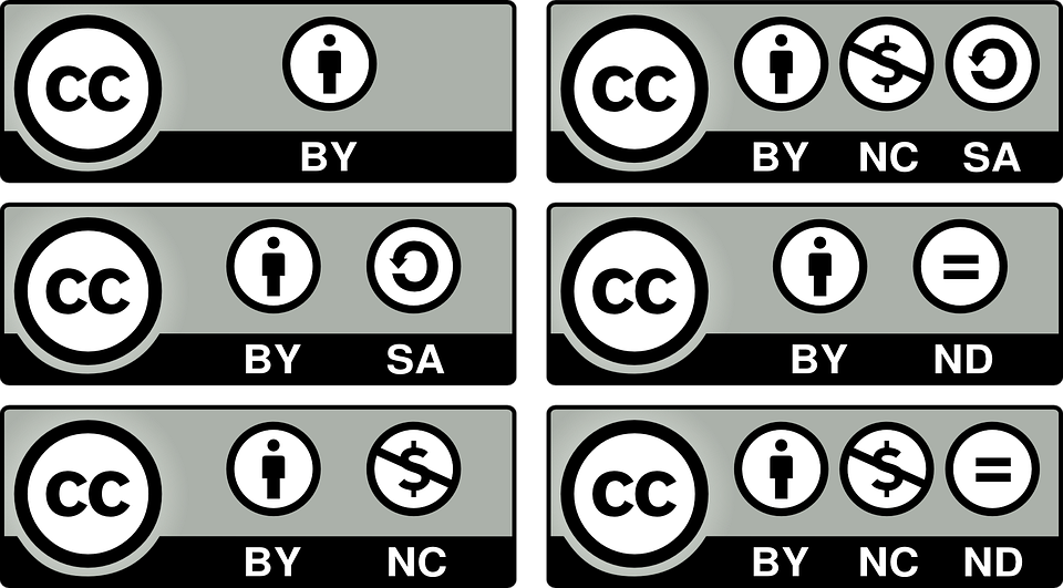 Comprehensive Guide to Alamyâs Royalty-Free Licensing for Images