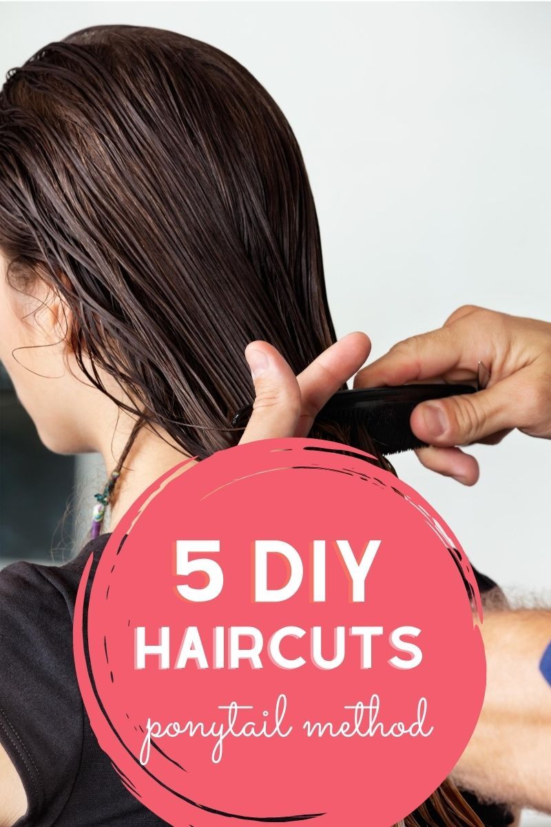 Pin on DIY Ponytail Haircuts  Hair Tutorials