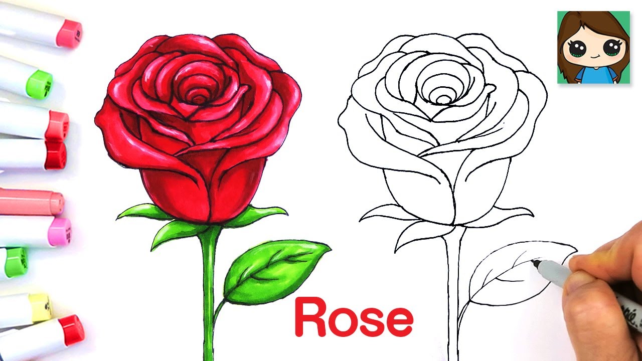 How to Draw a Rose A Simple Guide