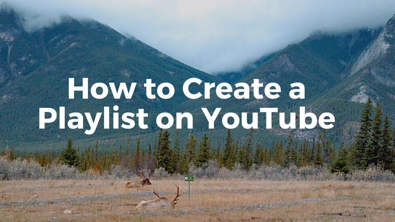 How to Create Share and Collaborate on YouTube Playlists  YouTube