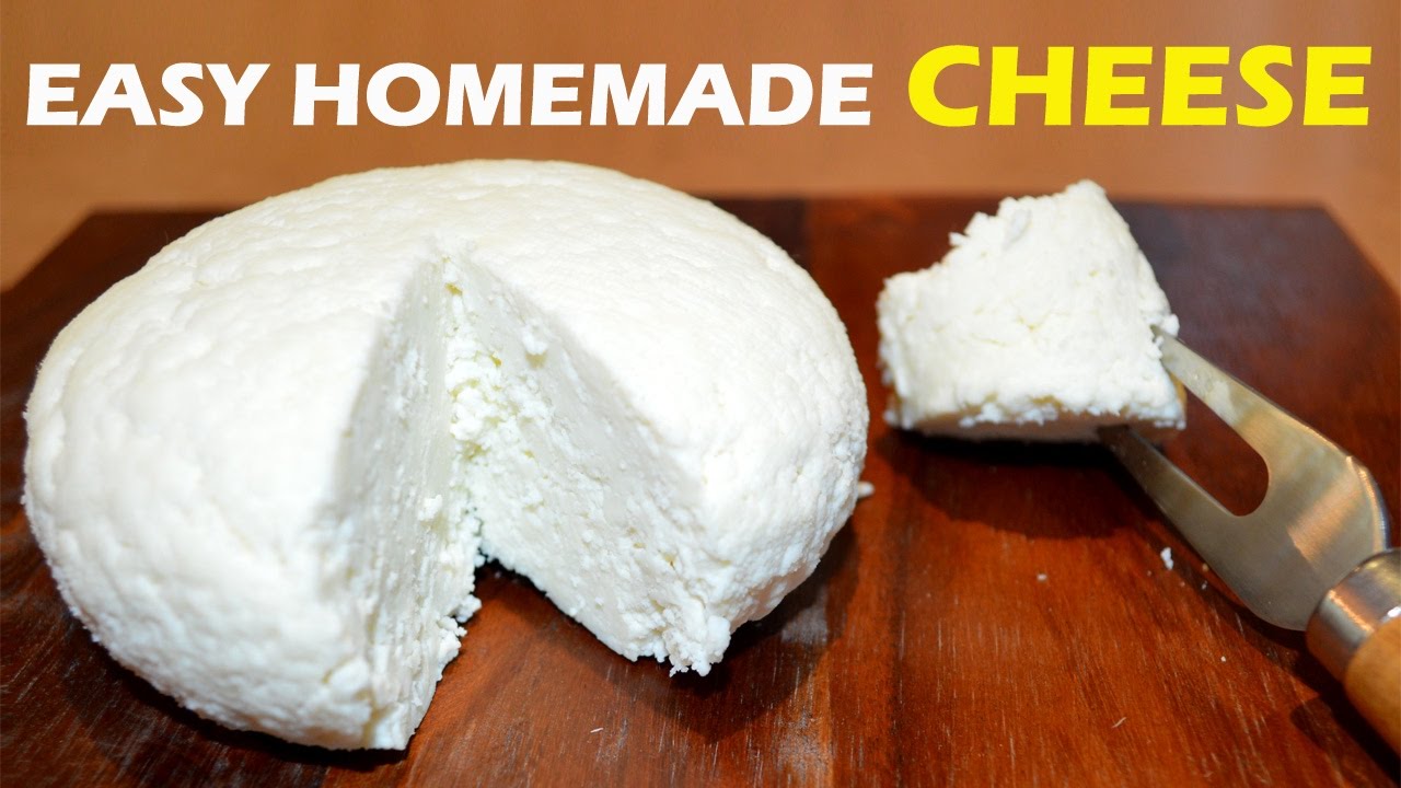 How to Make Cheese at Home  2 ingredient Easy Cheese Recipe  Recipe Learn