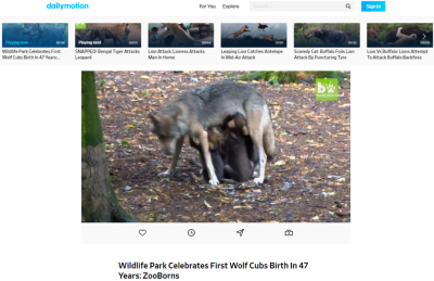 How to Upload Your Video to Dailymotion Complete Tutorial