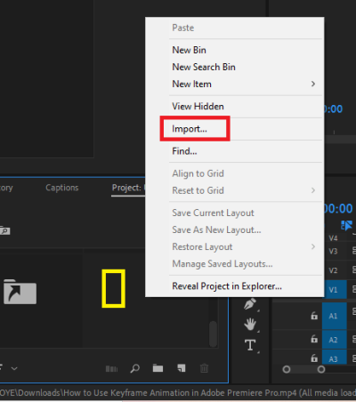 Import Adobe Stock into Premiere Pro Easily