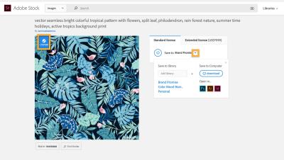 Guide to Adding Team Members in Adobe Stock