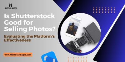 Evaluating Alamy as a Platform for Selling Stock Photos