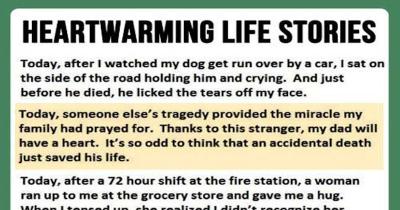 Heartwarming Stories for Everyone on Dailymotion