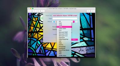 Essential Guide to Saving Images as JPEG on Mac