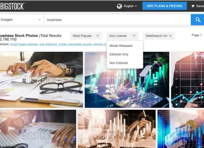 Bigstock vs. iStock Which Stock Image Platform Is Better for You