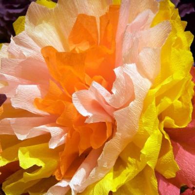 How to Create Beautiful Crepe Paper Flowers in Simple Steps