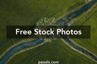 Imago Images Users Share Tips for Discovering Hidden Photo Gems