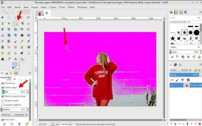 Guide to Removing the Background of an Image in GIMP