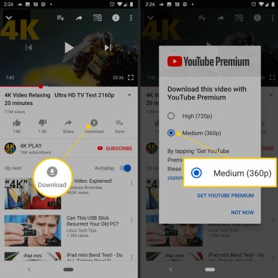 Where Do Downloads from YouTube Go on Your Device